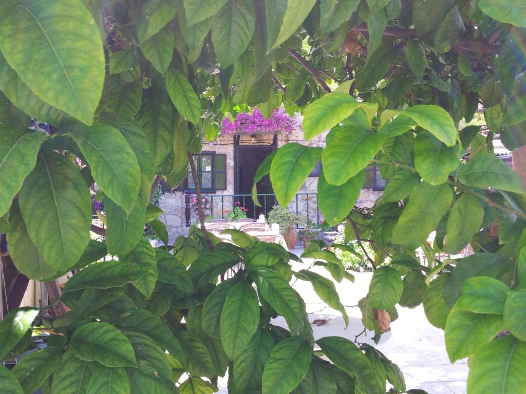 Akasya Hotel (Adults Only) Side Bagian luar foto